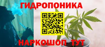 сатива Краснокаменск
