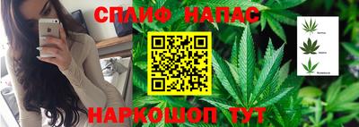 твердый Краснознаменск